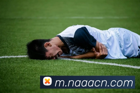 fb体育app官网服务体系